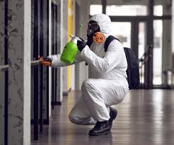 Trusted Absecon, NJ Mold Removal & Remediation Experts